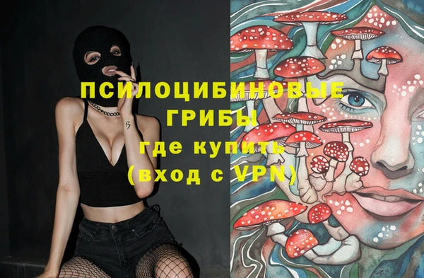 амф Медвежьегорск