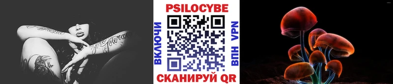 Псилоцибиновые грибы Psilocybe  Купить где  Каменногорск 